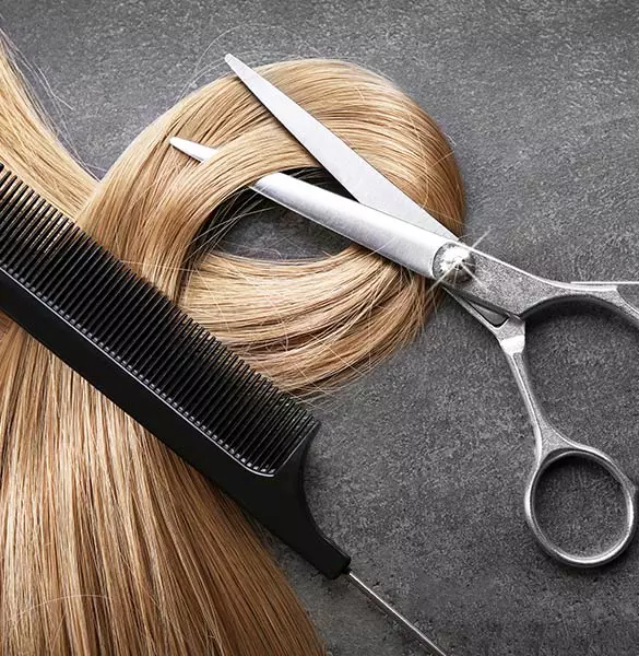 PENINGUY CATHERINE : Nos prestations